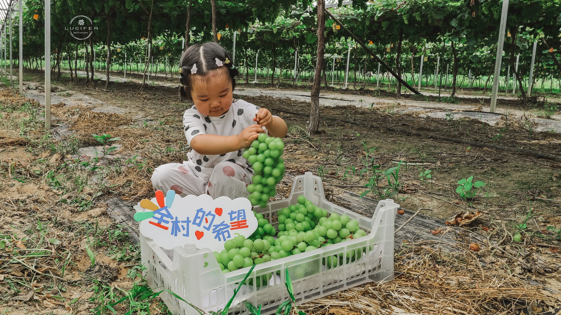 南京溧水:明媚欢脱的童年,与姥姥一块撒欢的夏季..