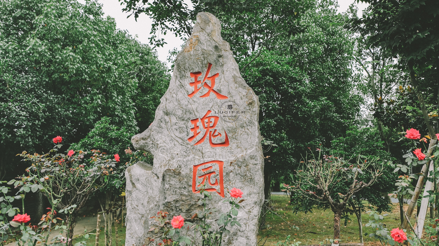 南京溧水:明媚欢脱的童年,与姥姥一块撒欢的夏季..