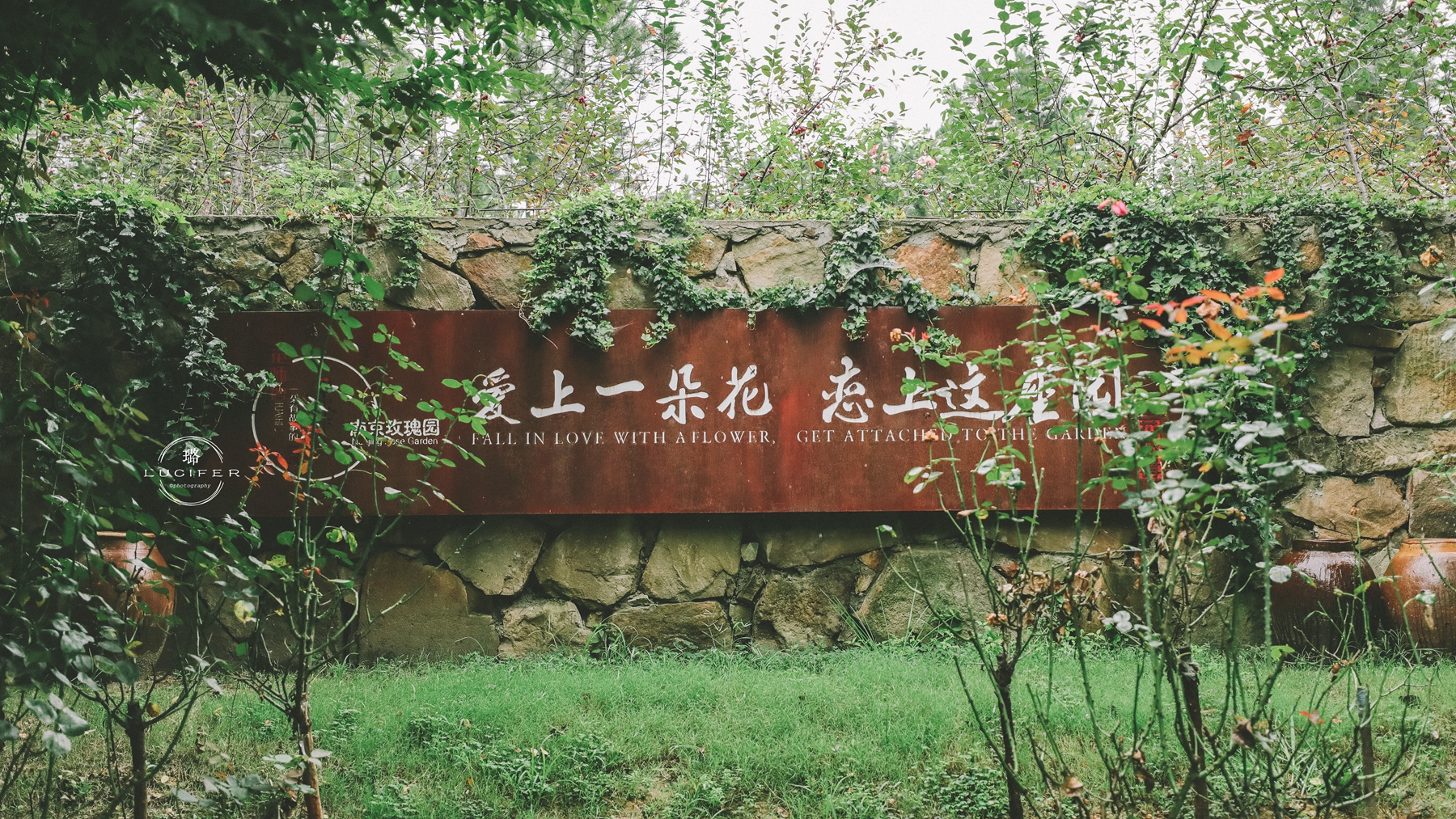 南京溧水:明媚欢脱的童年,与姥姥一块撒欢的夏季..