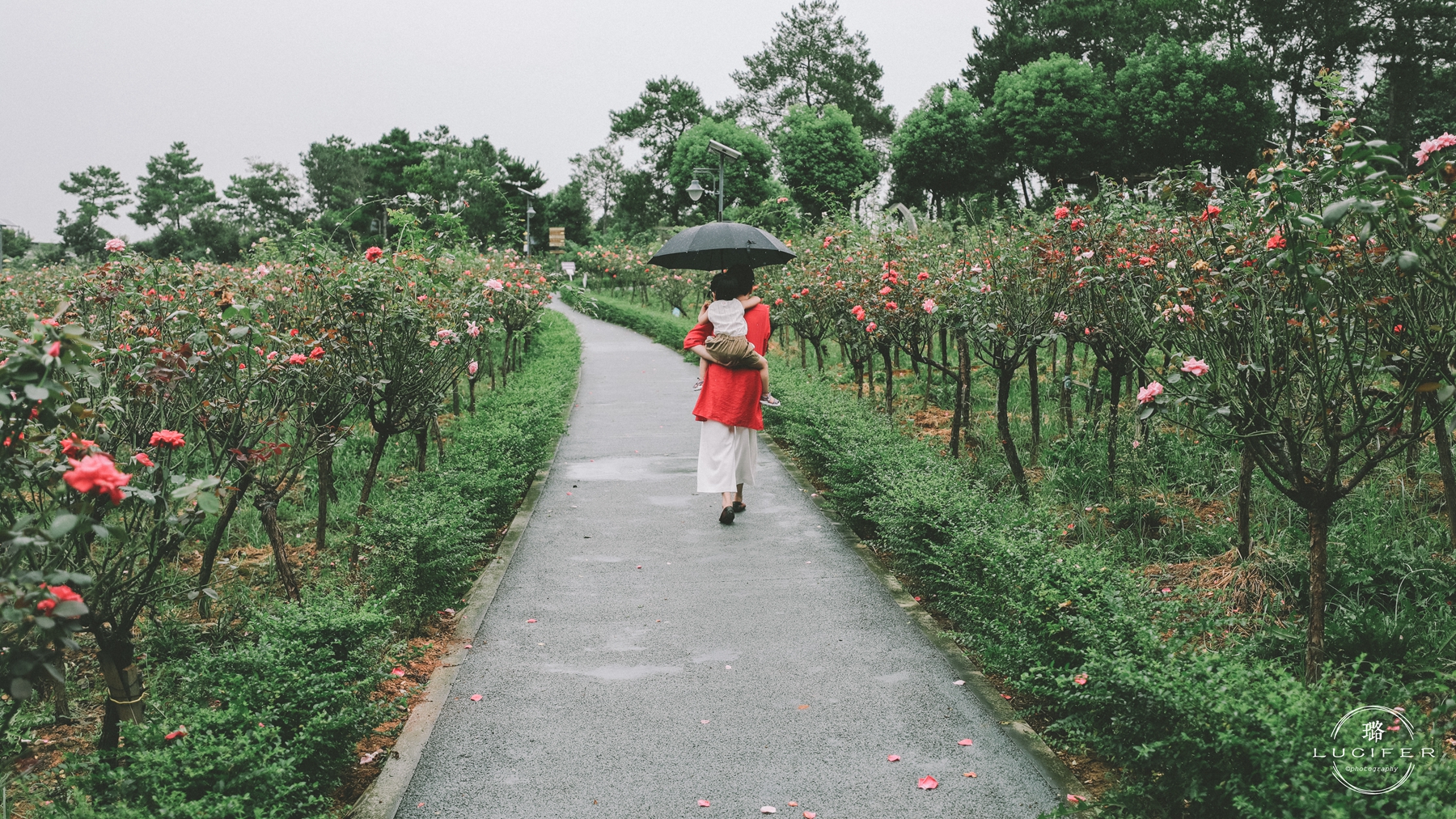 南京溧水:明媚欢脱的童年,与姥姥一块撒欢的夏季..