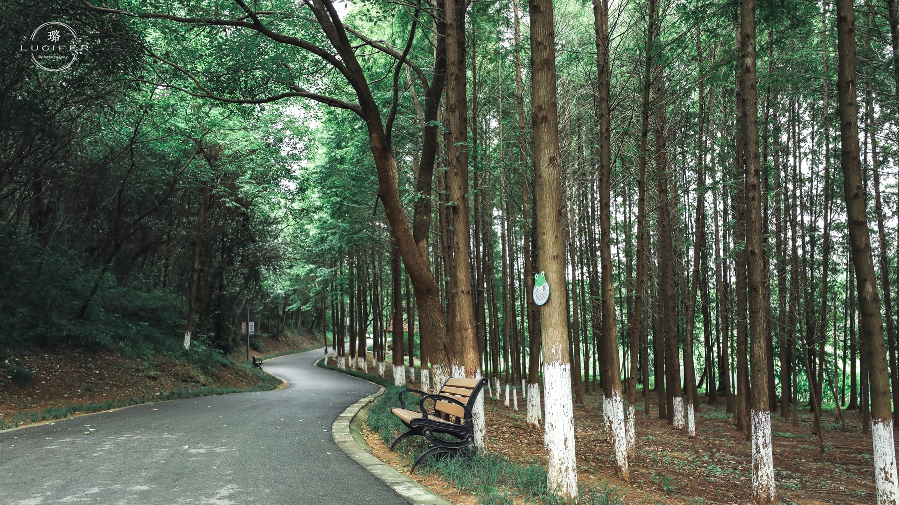 南京溧水:明媚欢脱的童年,与姥姥一块撒欢的夏季..