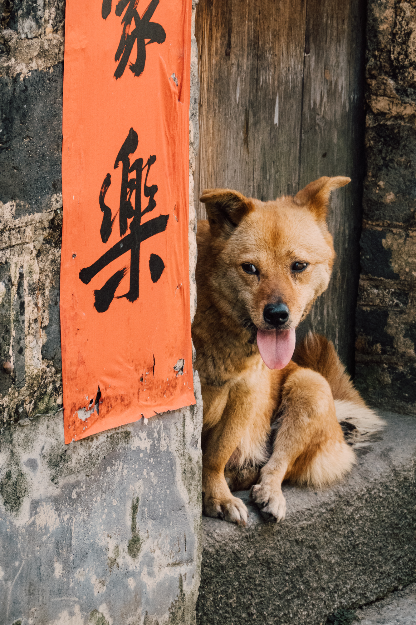 古道西风神车,小桥徽商人家,朝阳初上,自嗨人浪天涯~