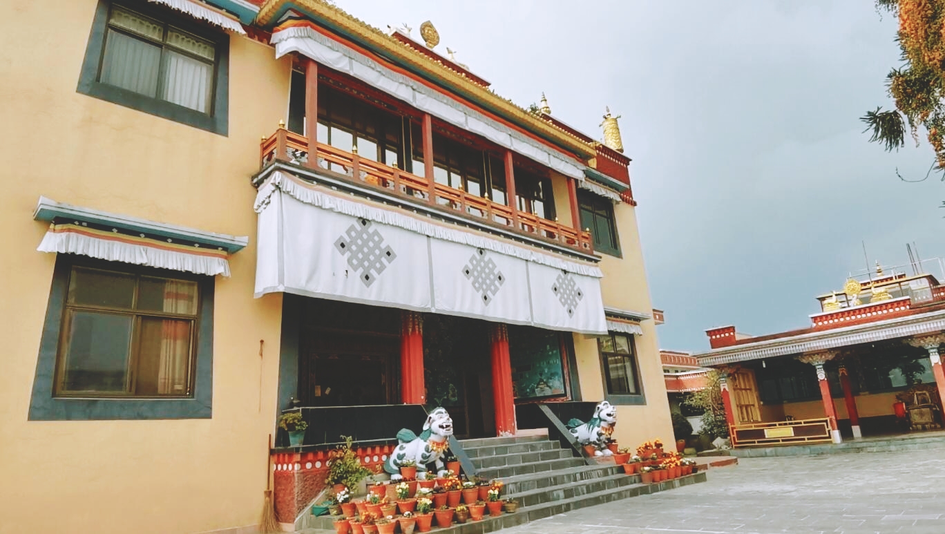 #旅游体验官招募#加德满都,乱中有序