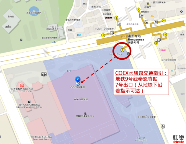 又见首尔|追寻艺术的秋季,如约而至的梦幻涂鸦秀