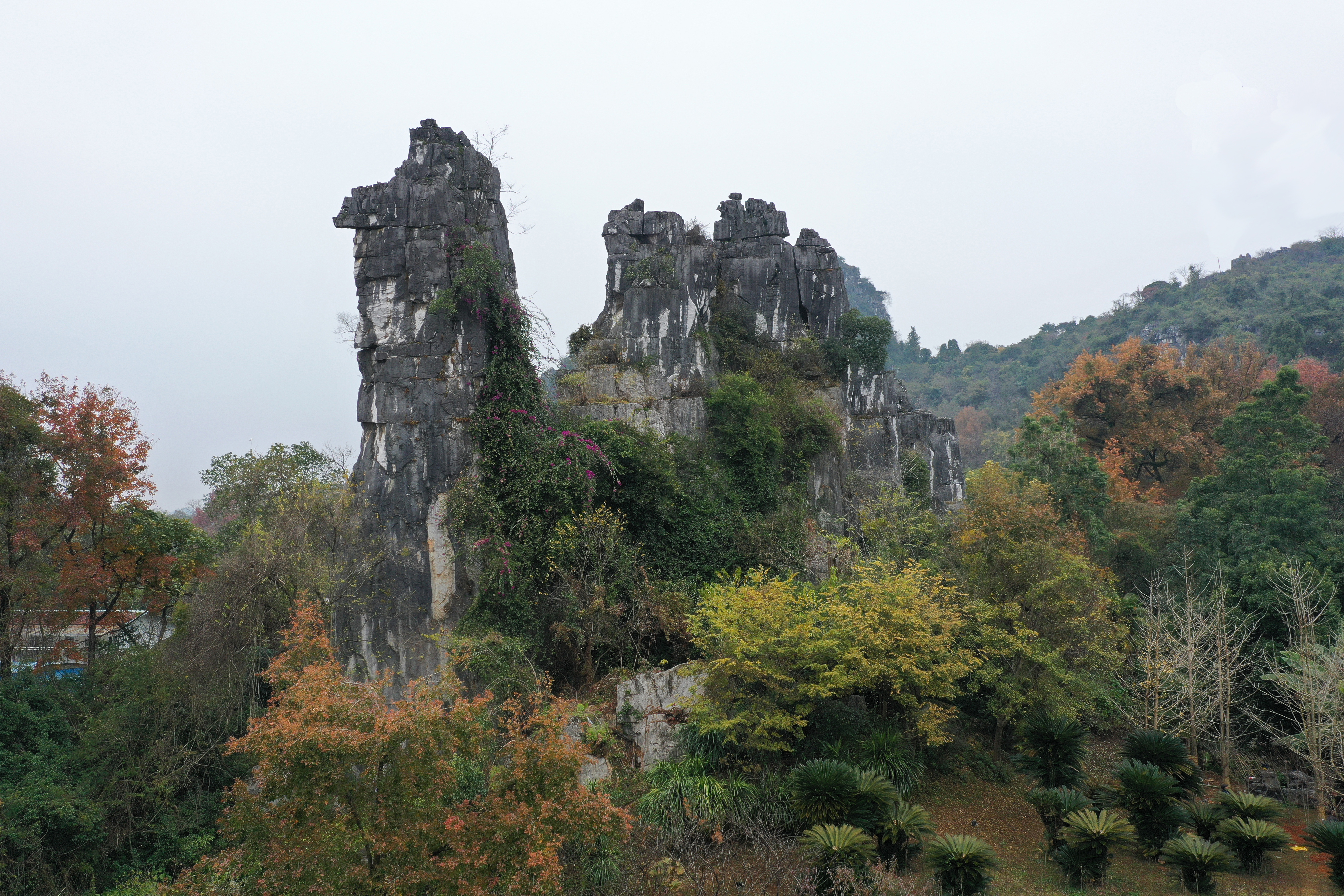 七星公园骆驼峰图片