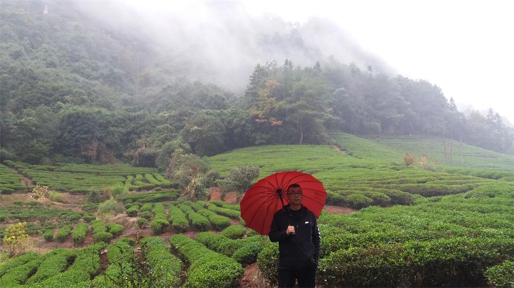 刘阳书题武夷山风景名胜