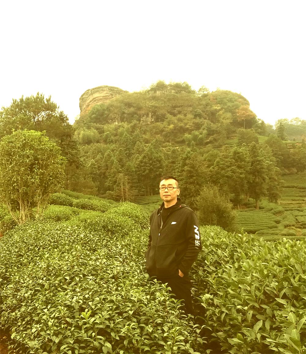 刘阳书题武夷山风景名胜