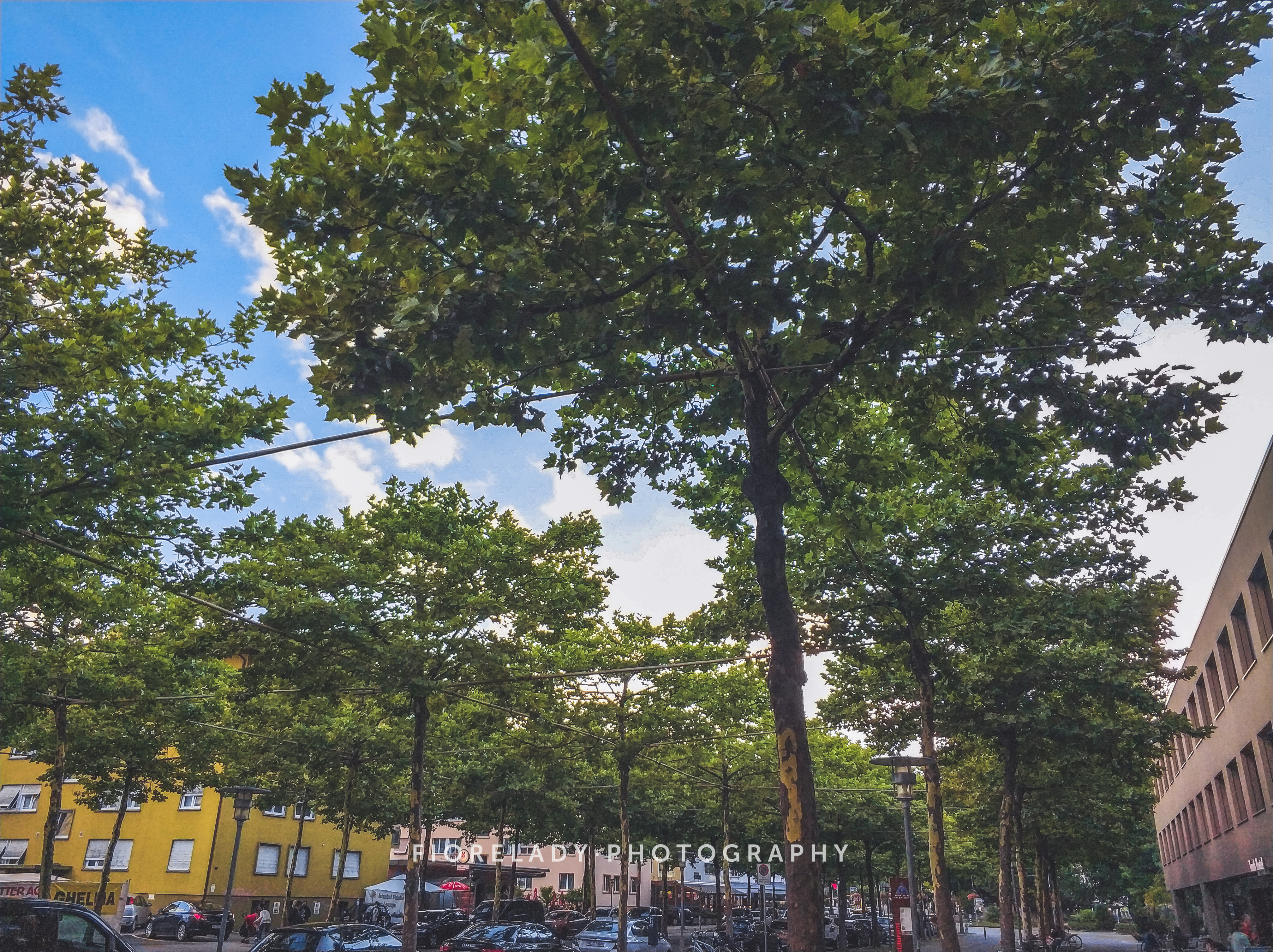 追逐阳光的夏冬瑞士行:上了山,下了湖,遇到了最好看的的人间仙境!