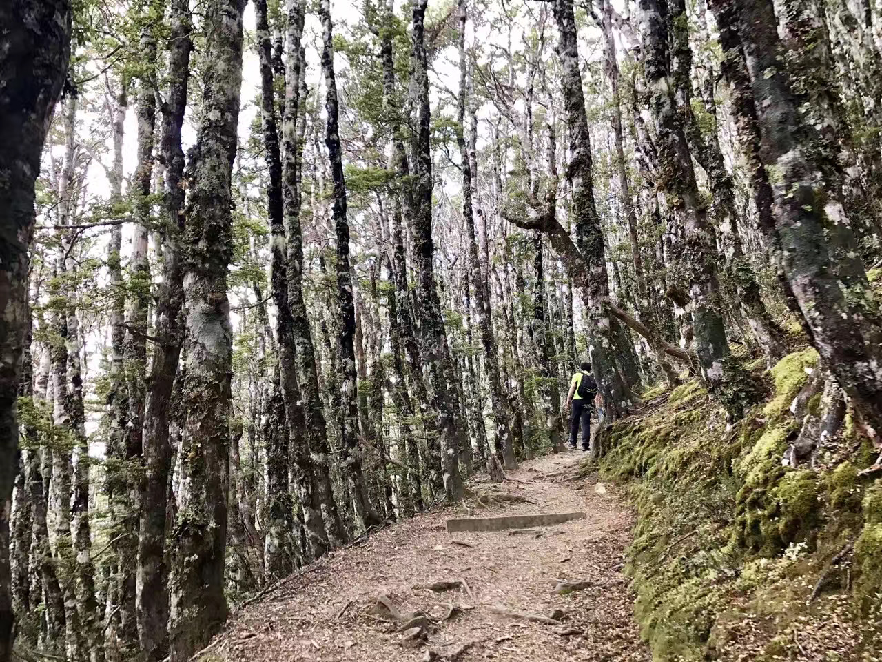 #游侠报道#帖——和世界谈一场恋爱,热烈且任性,不枉此生
