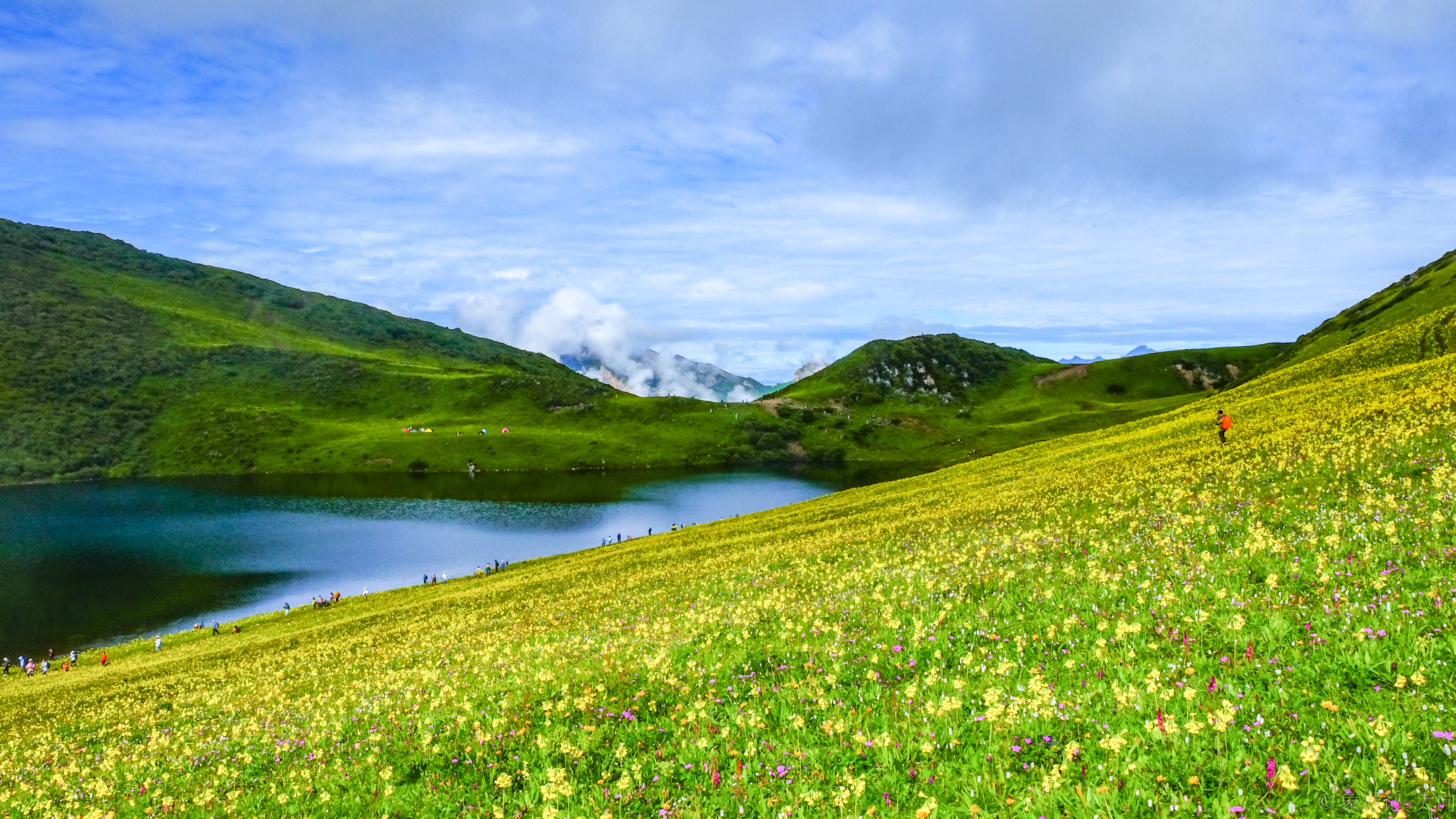 云海之上的青青草原,雪山环抱的高山草甸,茂县九顶山花海徒步露营攻略