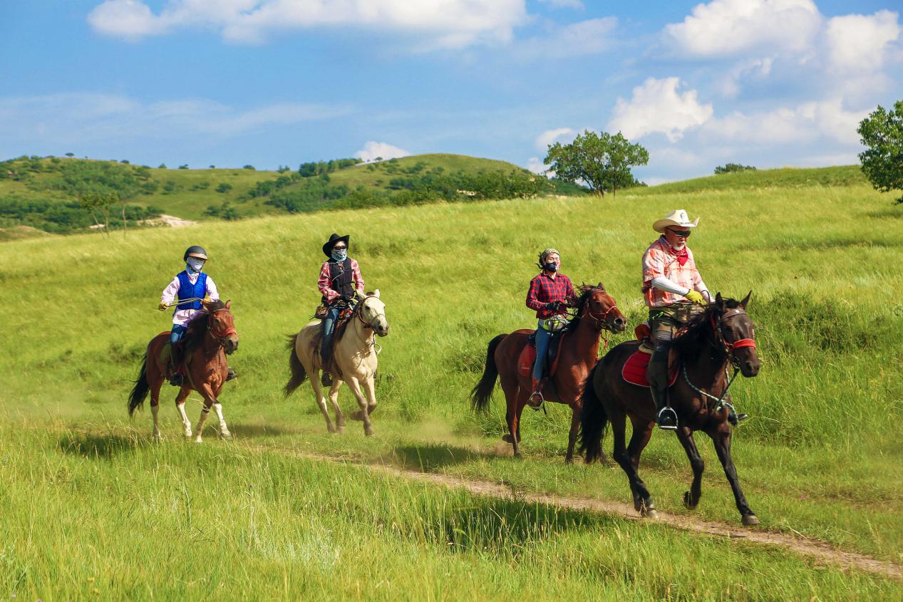 策马扬鞭,驰骋草原,是时候体验下最原始的旅行方式了!