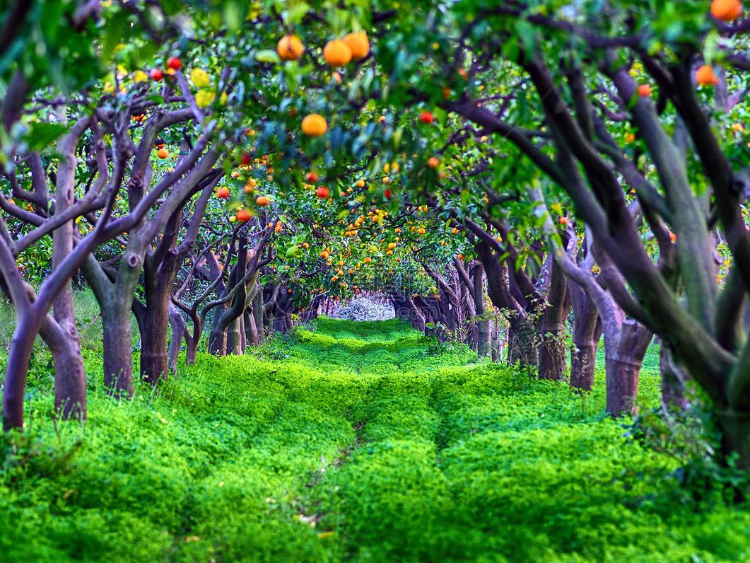 给大家简单介绍一个新的农家乐,惠州市果盛生态园位