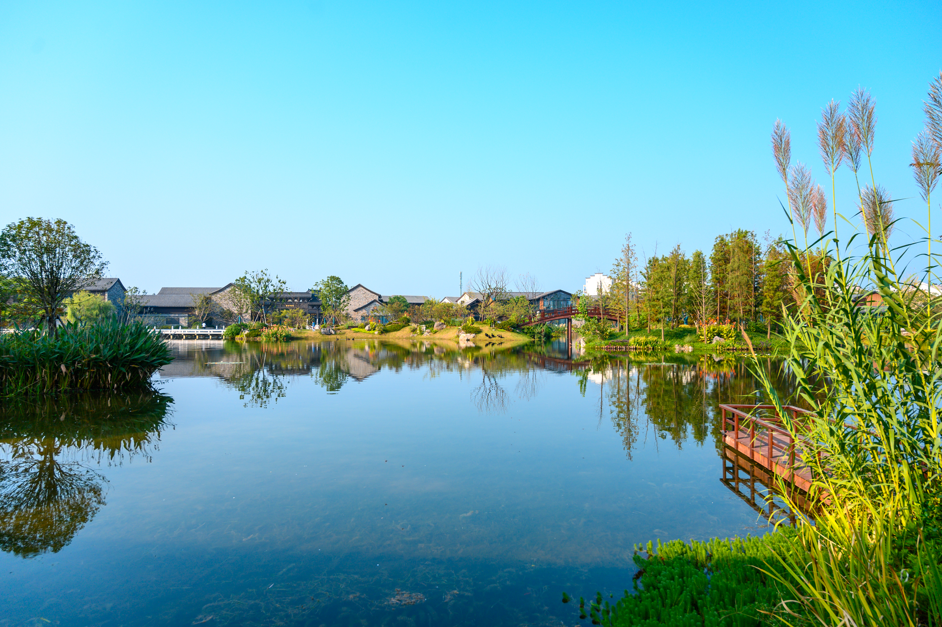 走进高淳,打卡网红打卡地固城湾景区,品尝固城湖螃蟹,南京旅游攻略-游