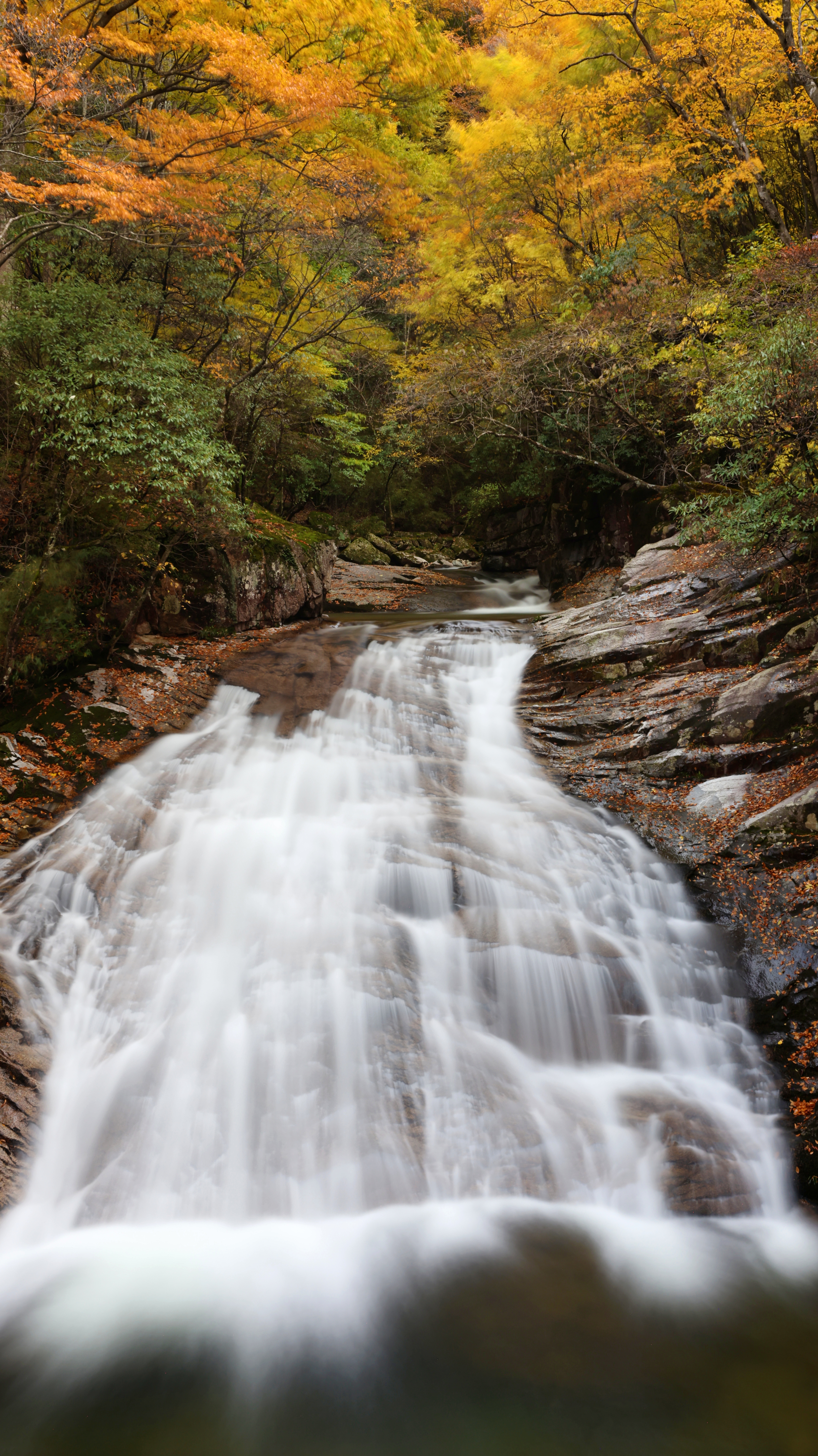 西界旺苍县,南与杨坝镇和坪河乡接壤,北与光雾山国家重点风景名胜区