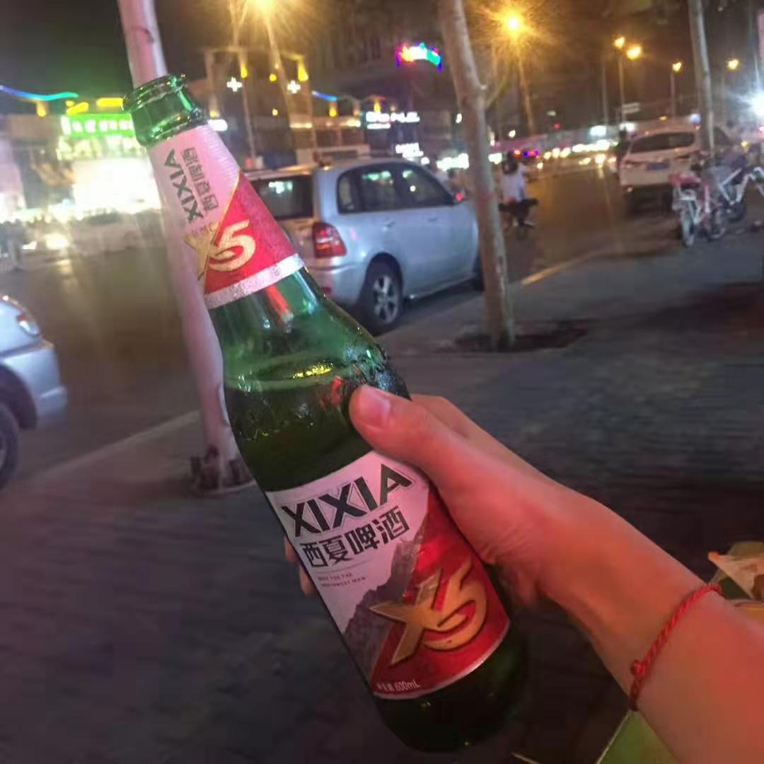 <a target='_blank' href='https://www.youxiake.com/gonglue/view?id=3436'>银川</a>