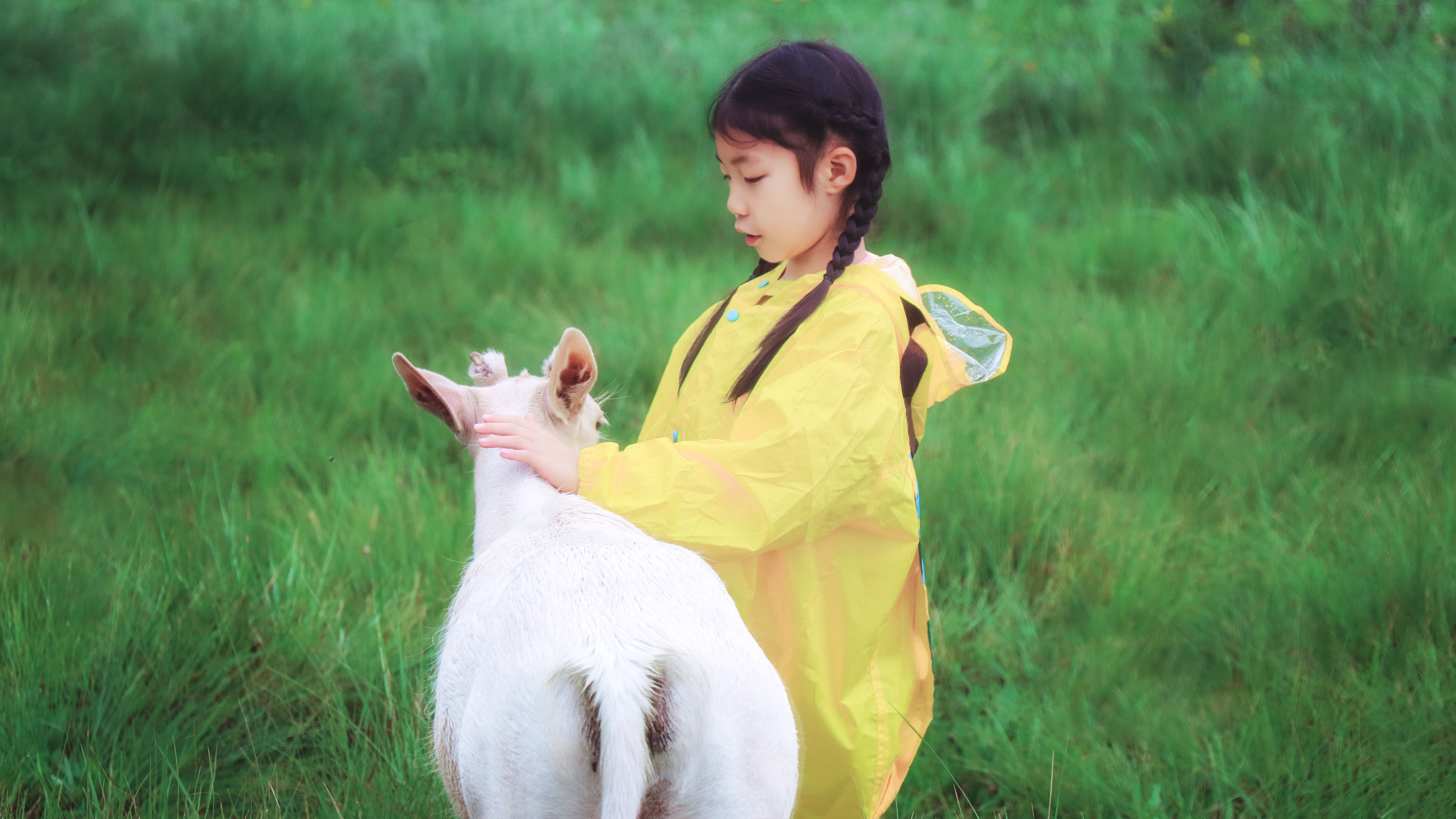 <a target='_blank' href='https://bbs.youxiake.com/mdd/7.html'>坝上草原</a>