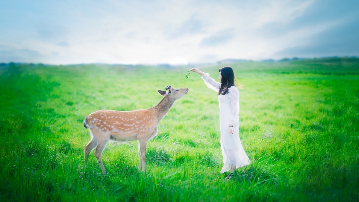 <a target='_blank' href='https://bbs.youxiake.com/mdd/7.html'>坝上草原</a>