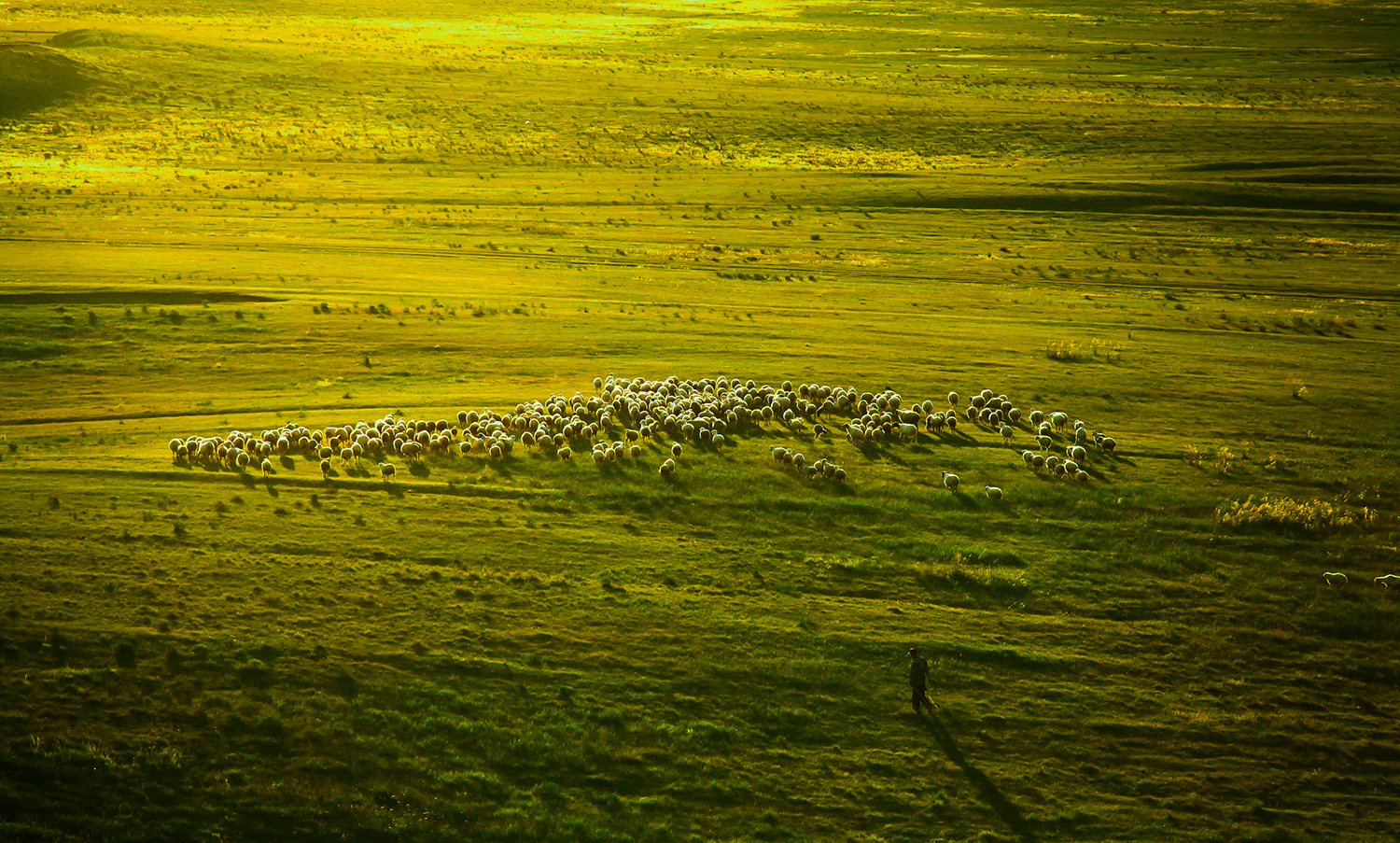 <a target='_blank' href='https://bbs.youxiake.com/mdd/7.html'>坝上草原</a>