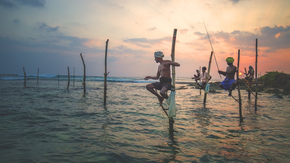 <a target='_blank' href='https://bbs.youxiake.com/mdd/710.html'>斯里兰卡</a>