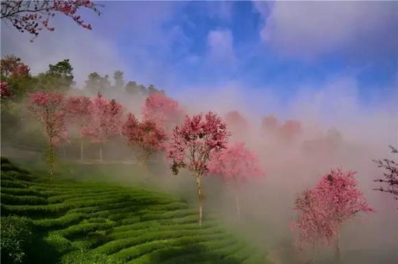 <a target='_blank' href='https://bbs.youxiake.com/mdd/1228.html'>大理</a>