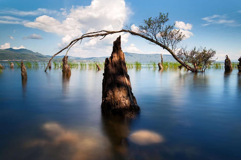 <a target='_blank' href='https://bbs.youxiake.com/mdd/1228.html'>大理</a>古城