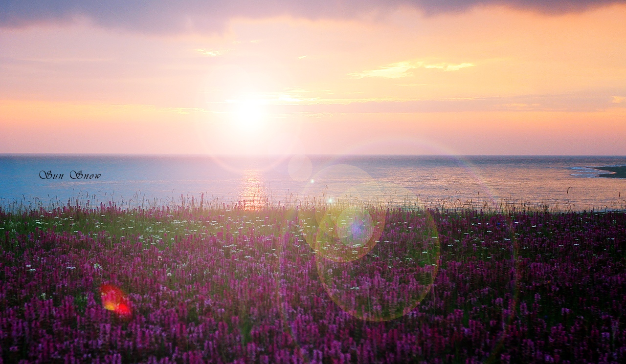 <a target='_blank' href='https://bbs.youxiake.com/mdd/1010.html'>青海湖</a>