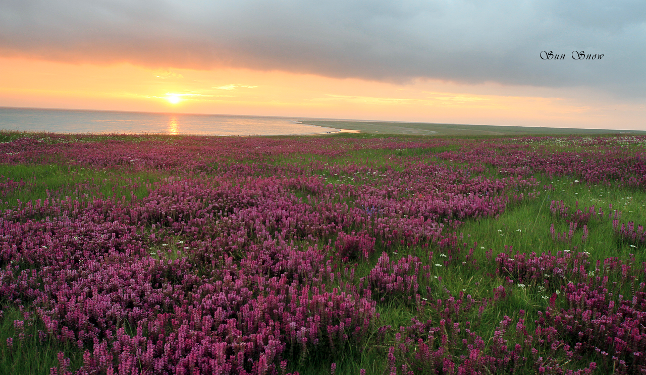 <a target='_blank' href='https://bbs.youxiake.com/mdd/1010.html'>青海湖</a>