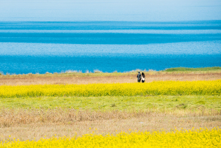 <a target='_blank' href='https://bbs.youxiake.com/mdd/3.html'>西北</a>