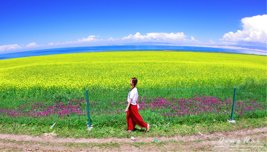 <a target='_blank' href='https://bbs.youxiake.com/mdd/1010.html'>青海湖</a>