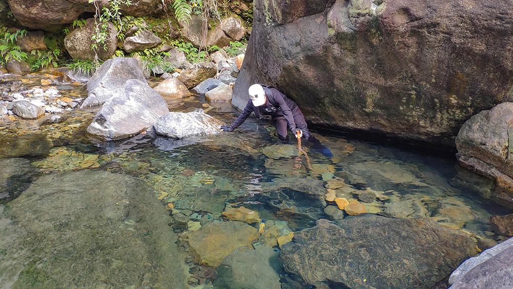 <a target='_blank' href='https://bbs.youxiake.com/mdd/100.html'>厦门</a>