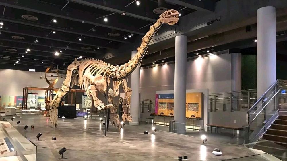 <a target='_blank' href='https://bbs.youxiake.com/mdd/18.html'>香港</a>