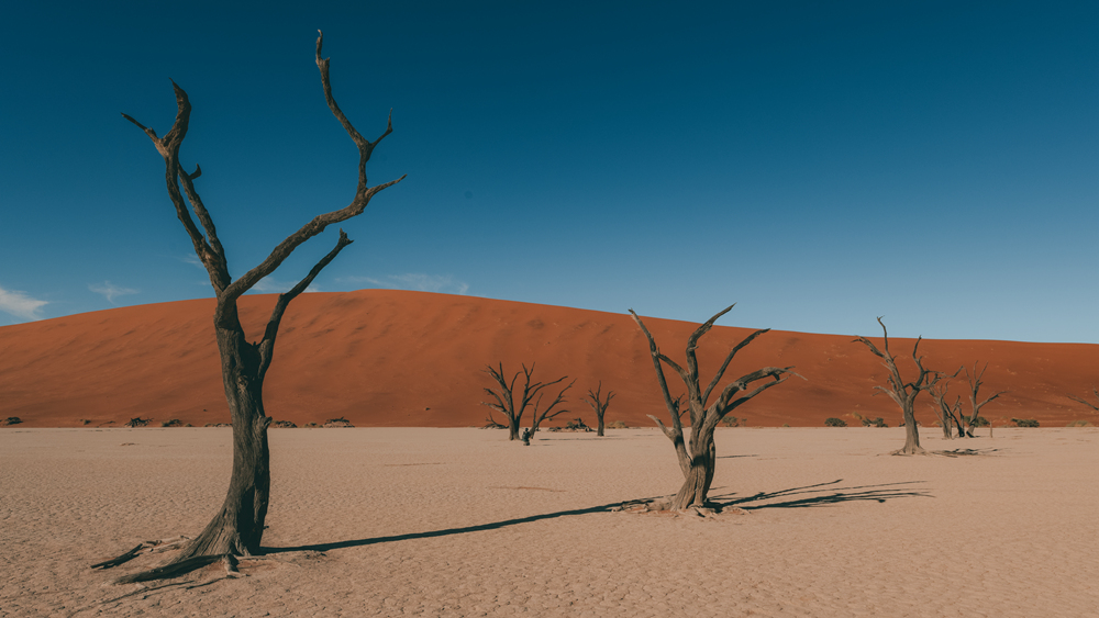 <a target='_blank' href='https://bbs.youxiake.com/mdd/691.html'>纳米比亚</a>