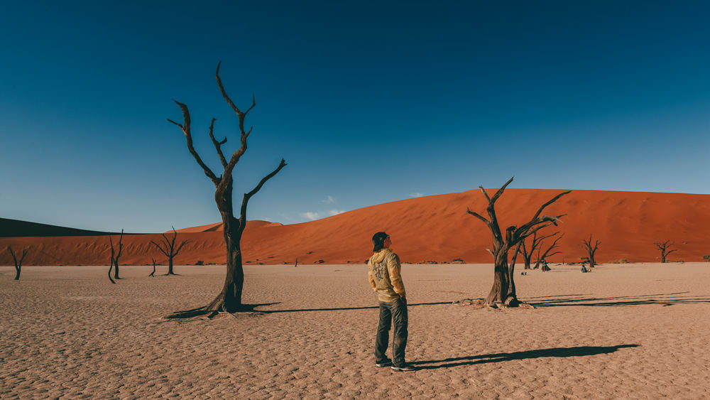 <a target='_blank' href='https://bbs.youxiake.com/mdd/691.html'>纳米比亚</a>