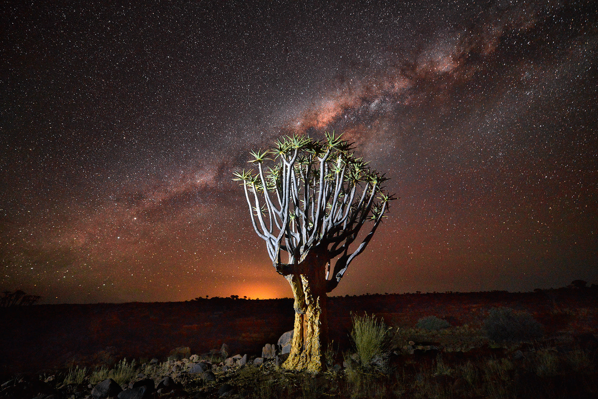 <a target='_blank' href='https://bbs.youxiake.com/mdd/691.html'>纳米比亚</a>