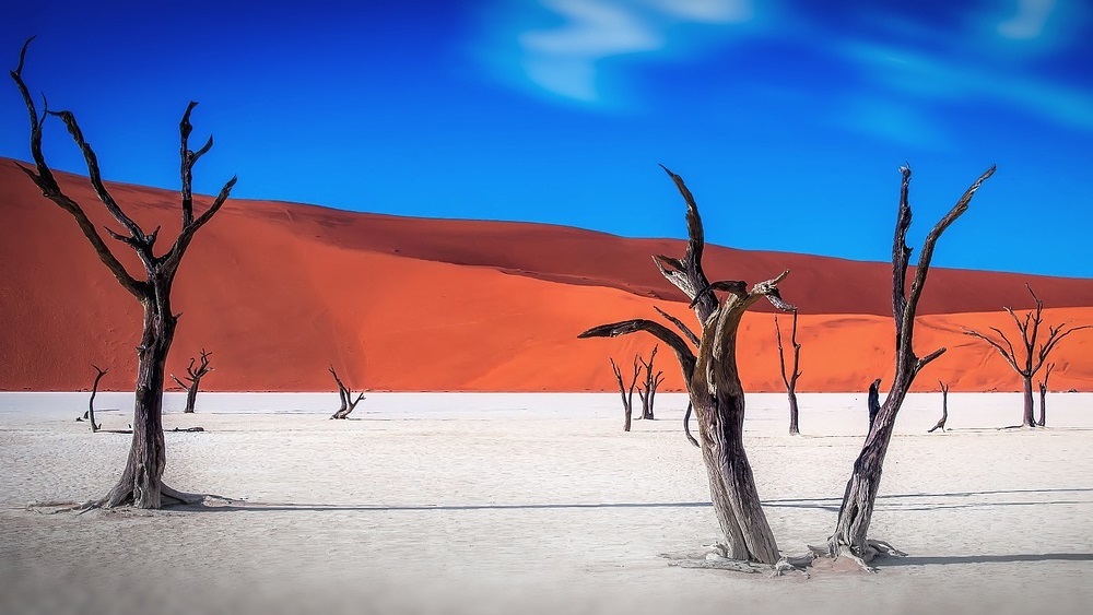 <a target='_blank' href='https://bbs.youxiake.com/mdd/691.html'>纳米比亚</a>