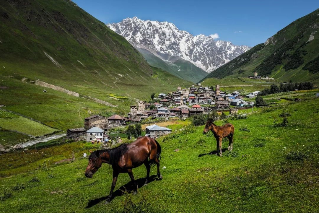 <a target='_blank' href='https://bbs.youxiake.com/mdd/702.html'>格鲁吉亚</a>