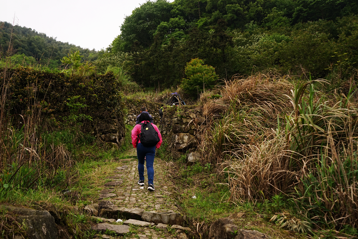 菩提岭古道入口在那里?需要买门票吗?