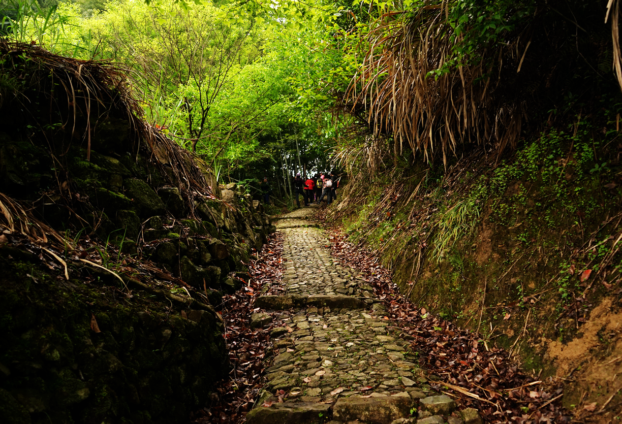 菩提岭古道入口在那里?需要买门票吗?