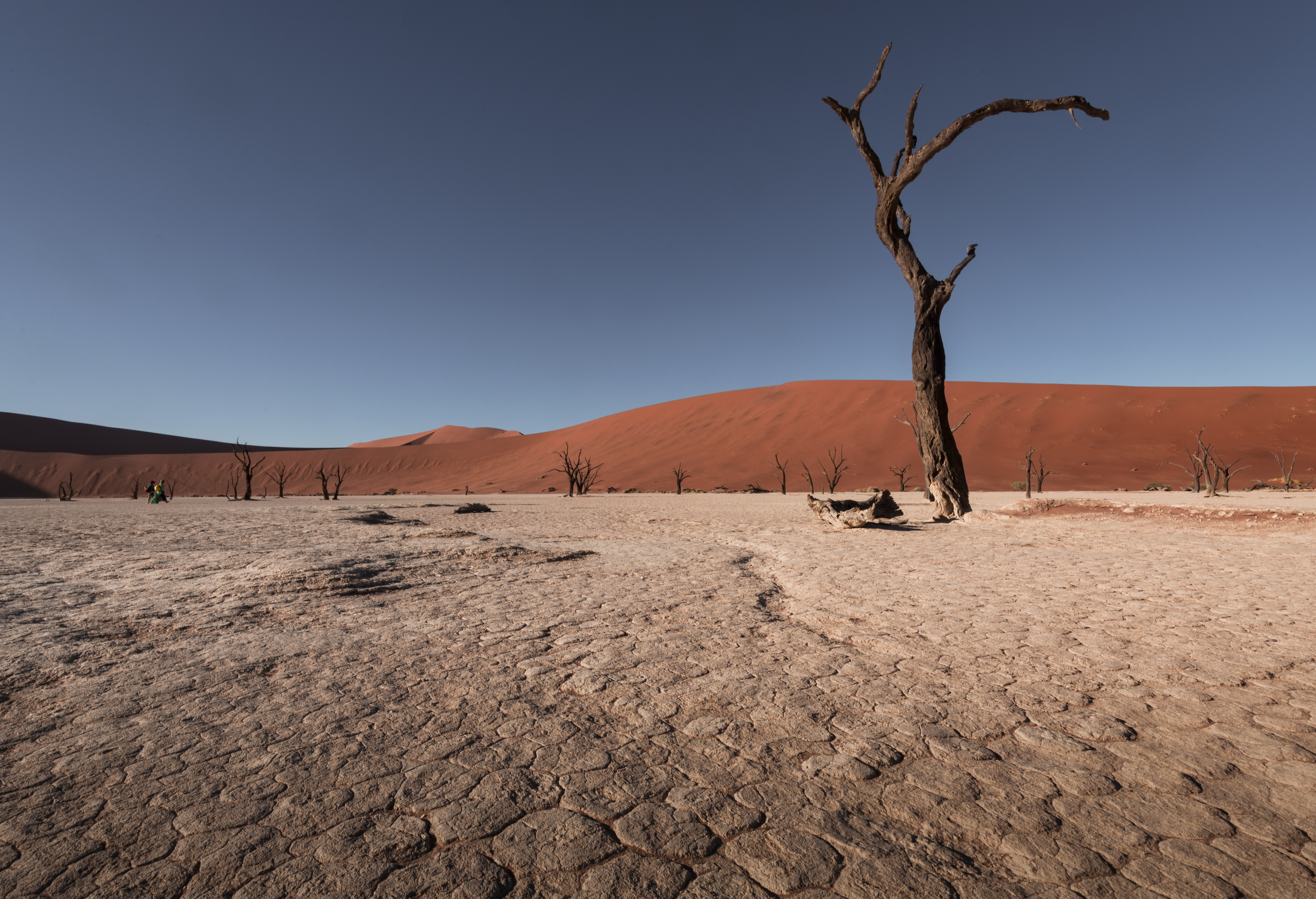 <a target='_blank' href='https://bbs.youxiake.com/mdd/691.html'>纳米比亚</a>