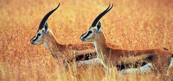 <a target='_blank' href='https://bbs.youxiake.com/mdd/3.html'>西北</a>