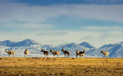 <a target='_blank' href='https://bbs.youxiake.com/mdd/3.html'>西北</a>