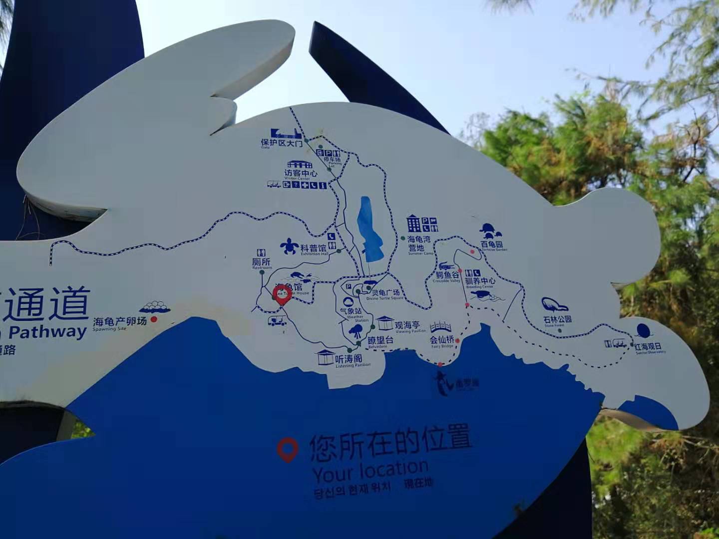 惠州的海龟湾开放的吗?有什么注意事项