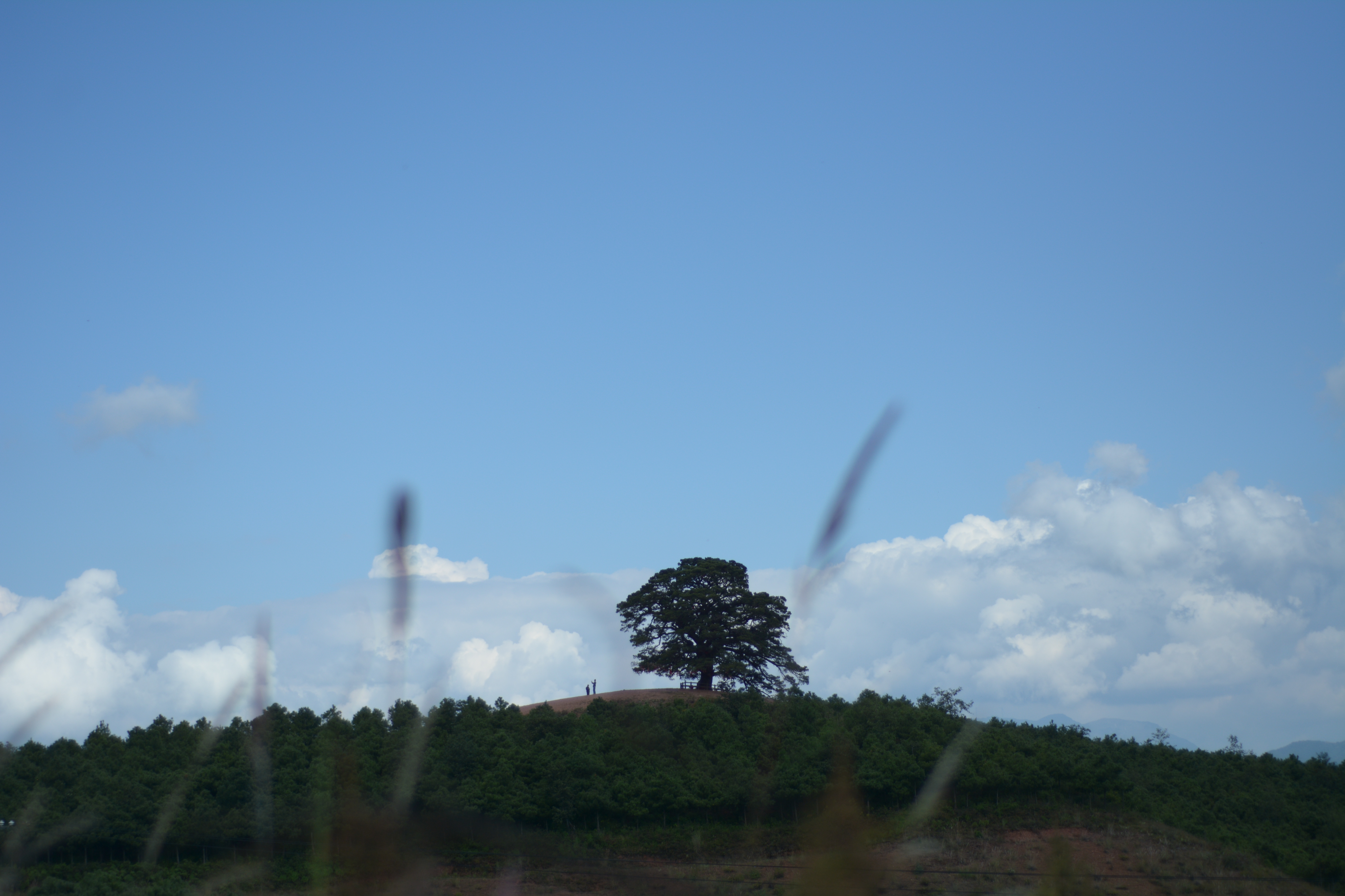 <a target='_blank' href='https://bbs.youxiake.com/mdd/2791.html'>云南</a>