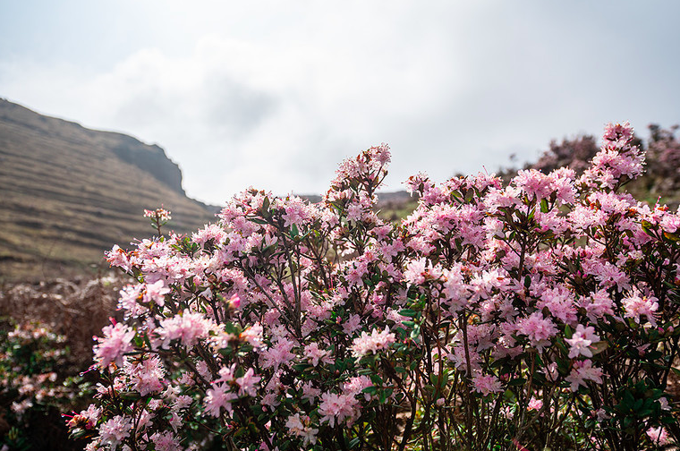 <a target='_blank' href='https://bbs.youxiake.com/mdd/2354.html'>乌蒙大草原</a>