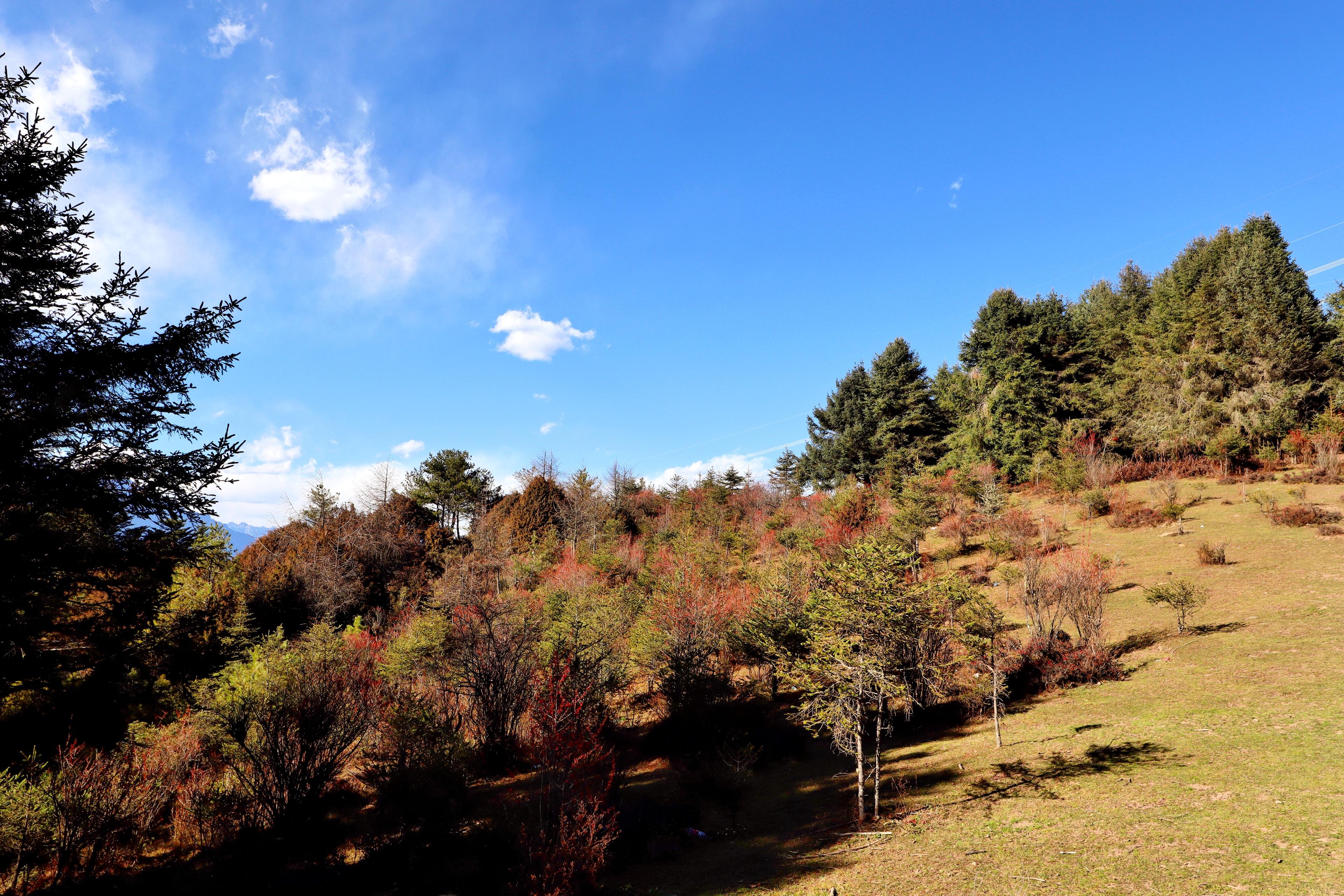 <a target='_blank' href='https://bbs.youxiake.com/mdd/868.html'>雅安</a>