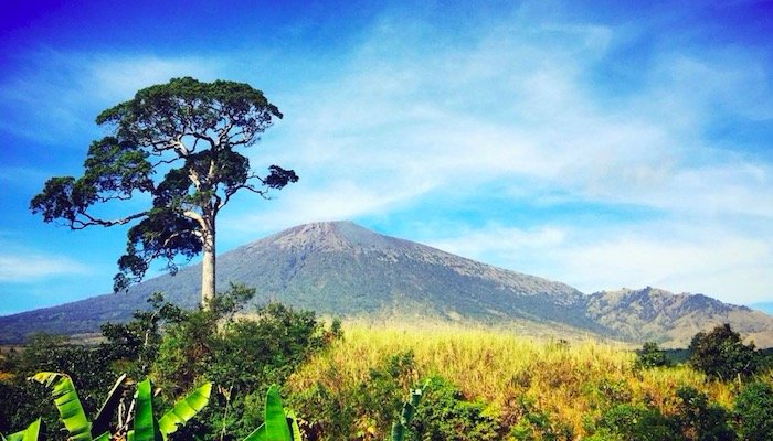 <a target='_blank' href='https://bbs.youxiake.com/mdd/5537.html'>林贾尼火山</a>