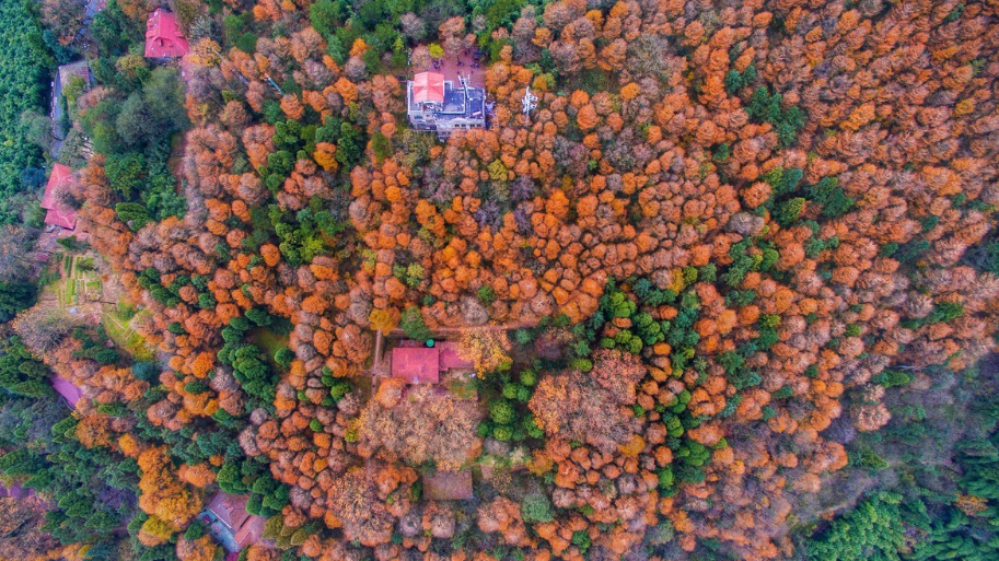 <a target='_blank' href='https://bbs.youxiake.com/mdd/1745.html'>莫干山</a>