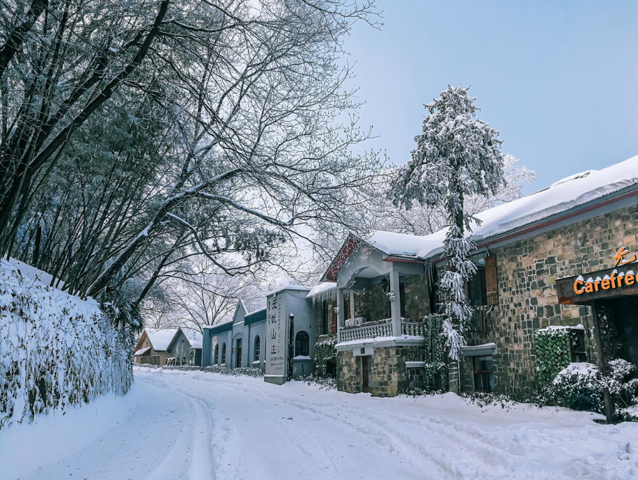 <a target='_blank' href='https://bbs.youxiake.com/mdd/1745.html'>莫干山</a>