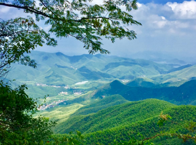 <a target='_blank' href='https://bbs.youxiake.com/mdd/1745.html'>莫干山</a>