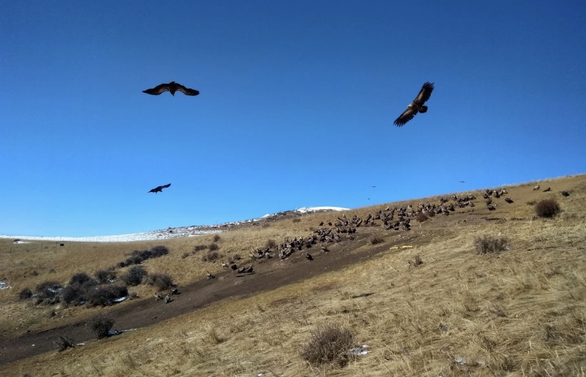 <a target='_blank' href='https://bbs.youxiake.com/mdd/864.html'>色达</a>